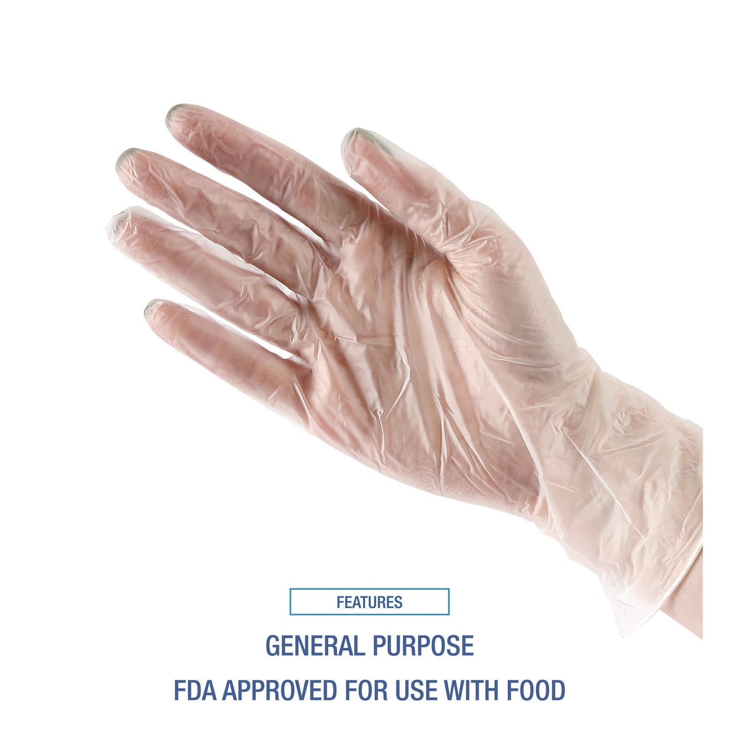 Large Vinyl Gloves, Clear, 100/Box